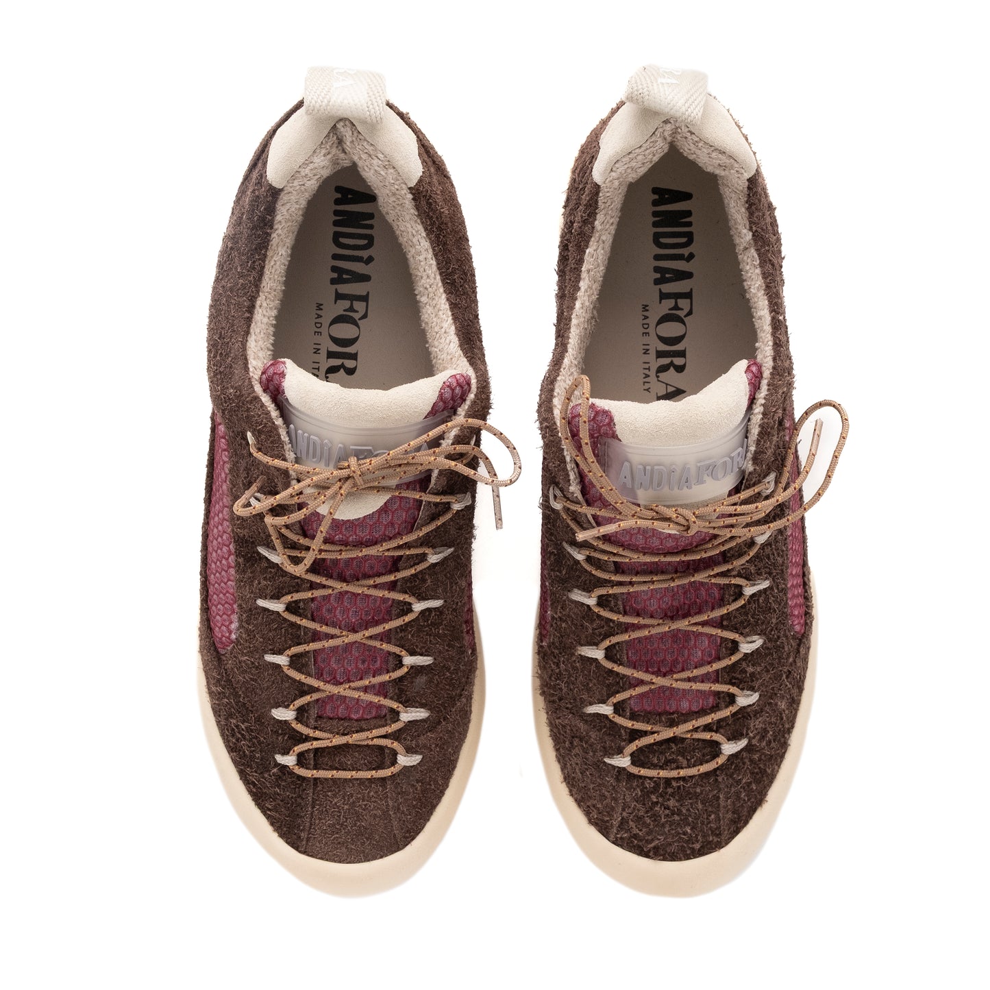 CORTINA H BEAR T.MORO