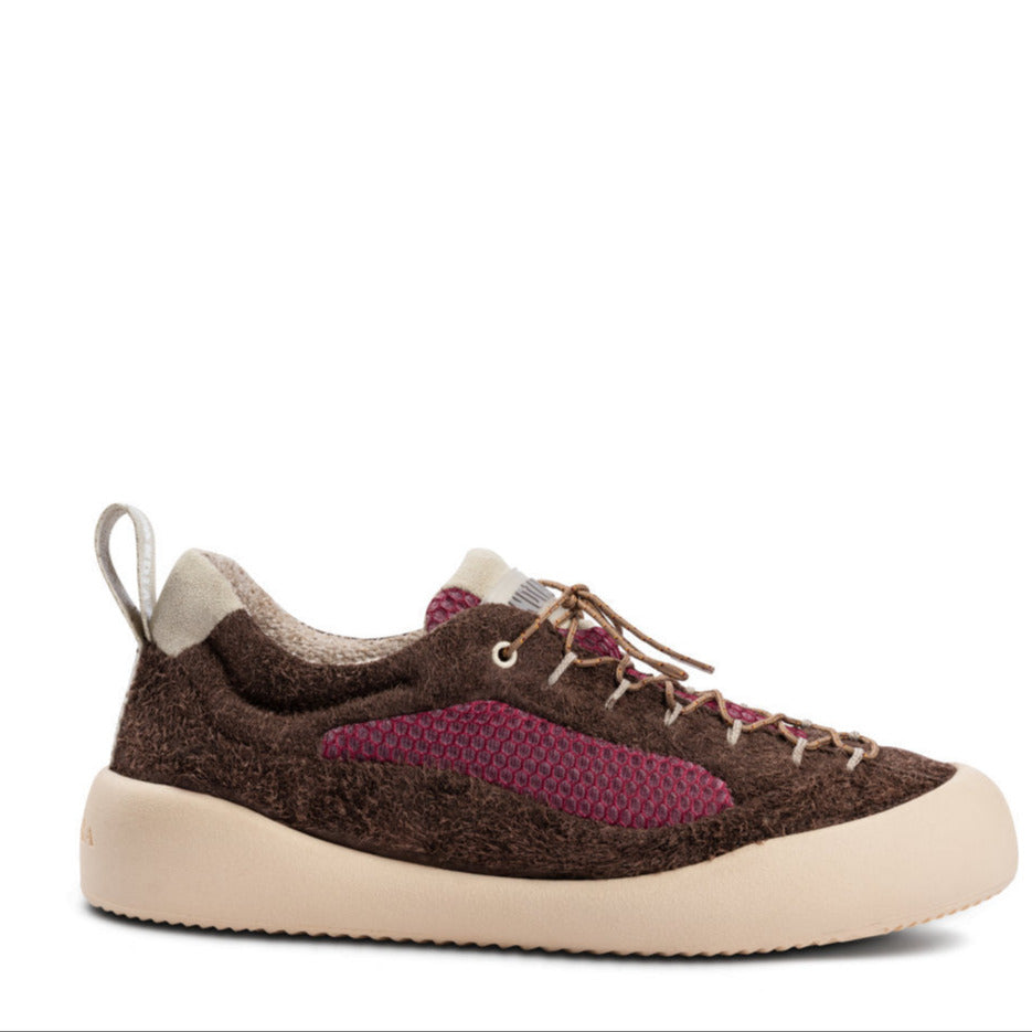 CORTINA H BEAR T.MORO