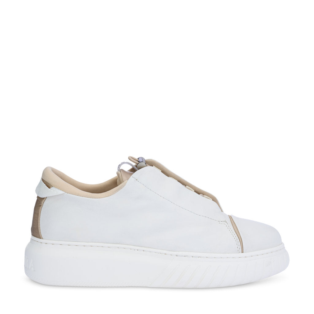 LIBI EVO ALLUME CREAM